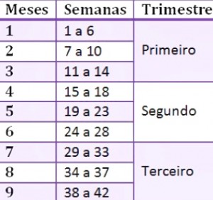 tabela semanas -meses